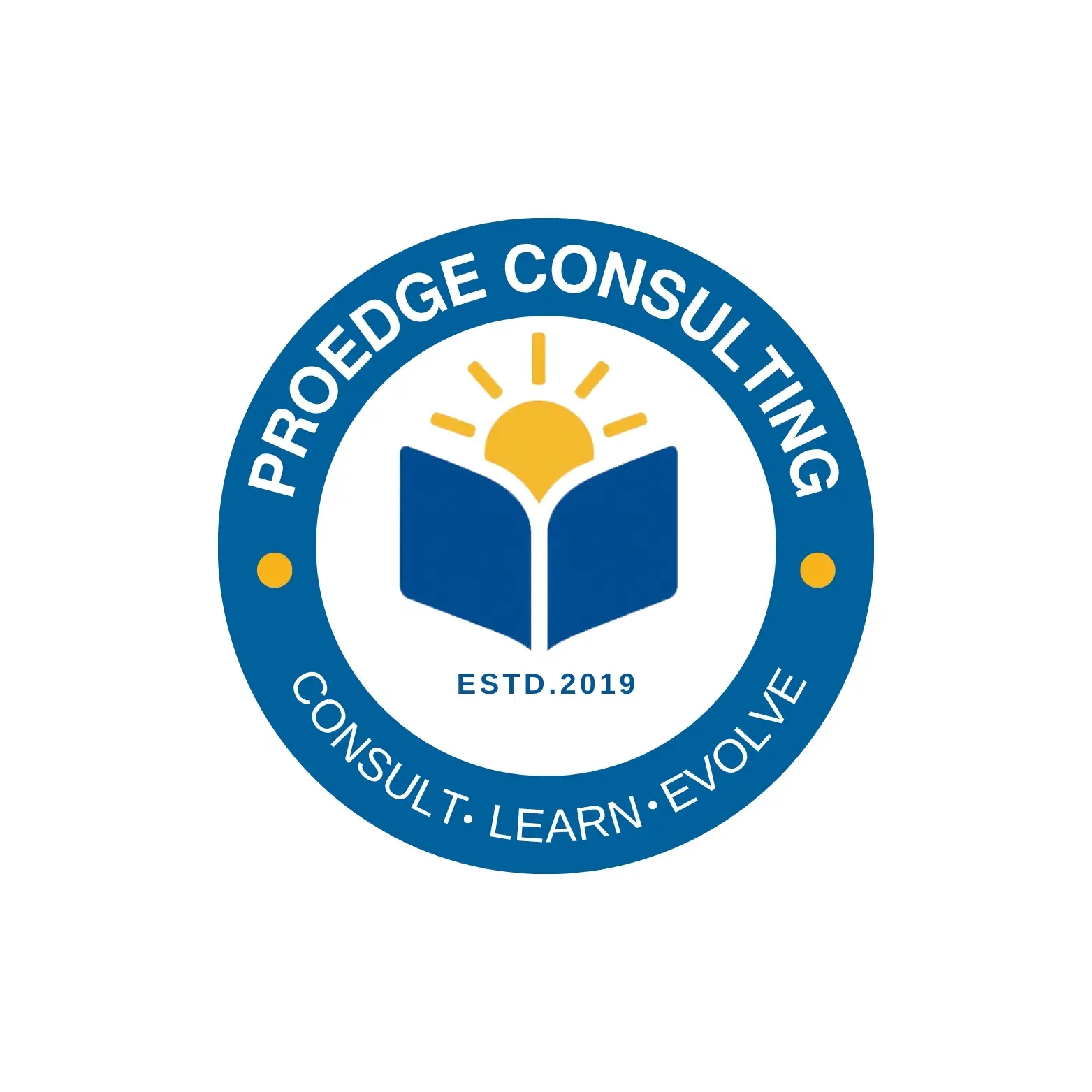 www.proedgeconsultant.com